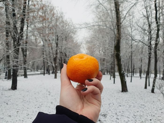 Person holding tangerine in winter