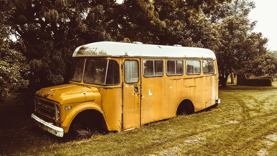 Yellow abandoned school bus on field against trees