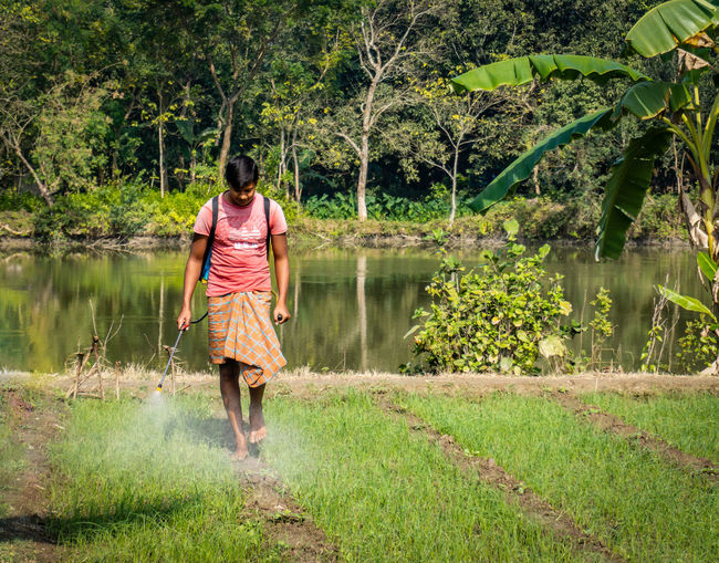 Man spraying pesticide in crops