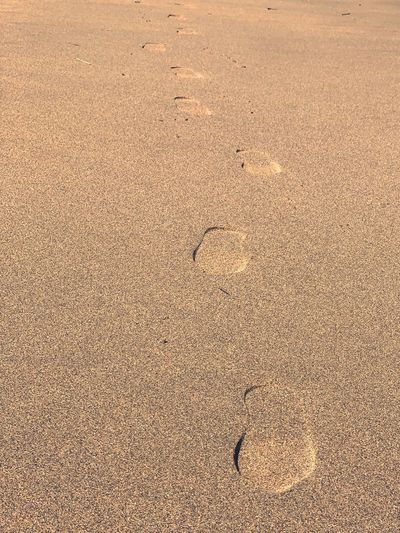 High angle view of footprints on beach