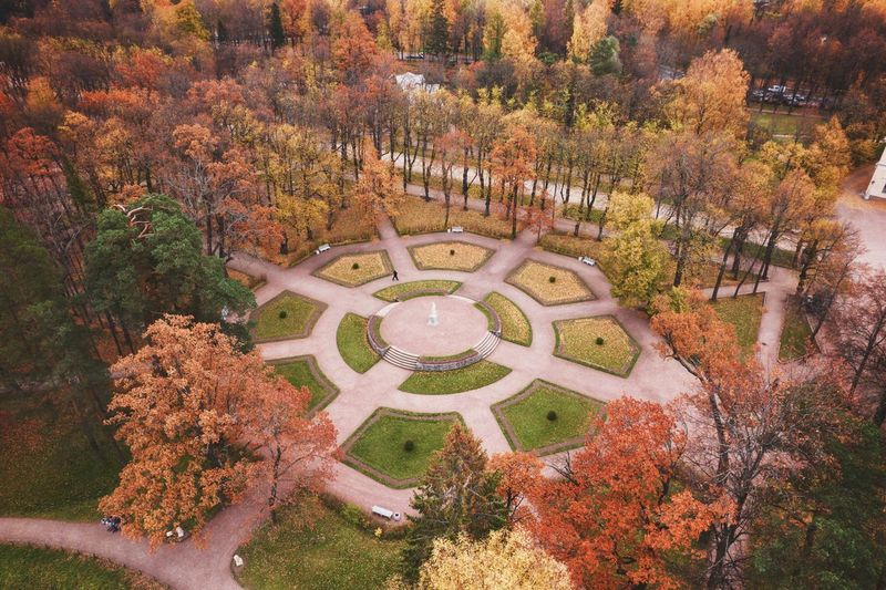 High angle view of trees in park during autumn