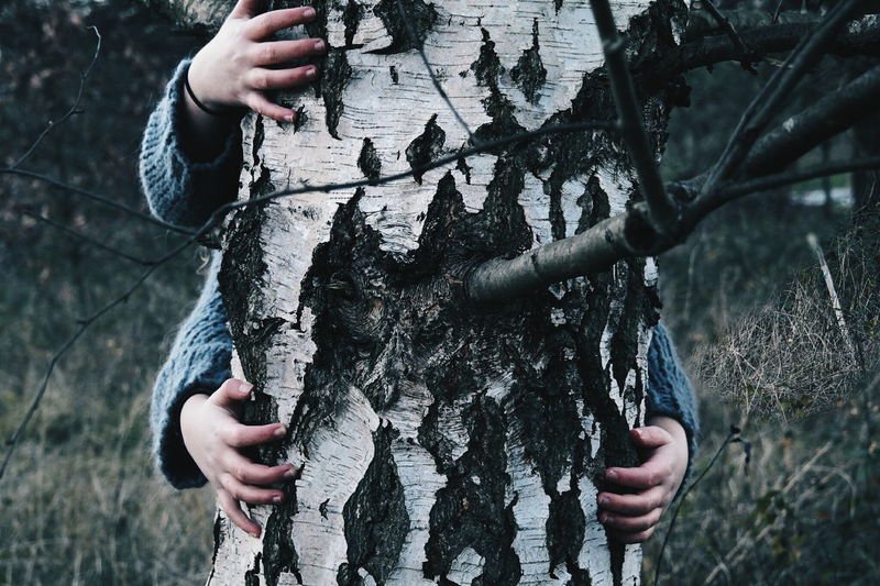 Cropped hands embracing tree
