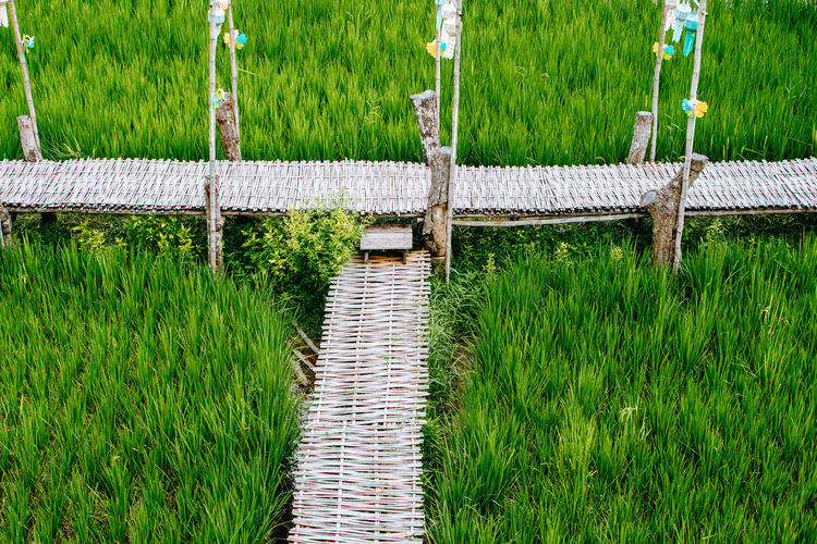Scenic view of field