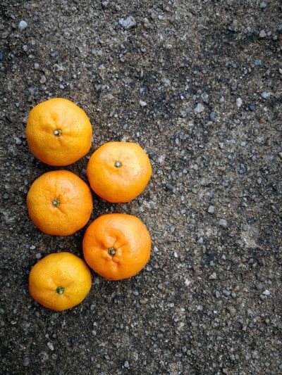 High angle view of orange fruit on road