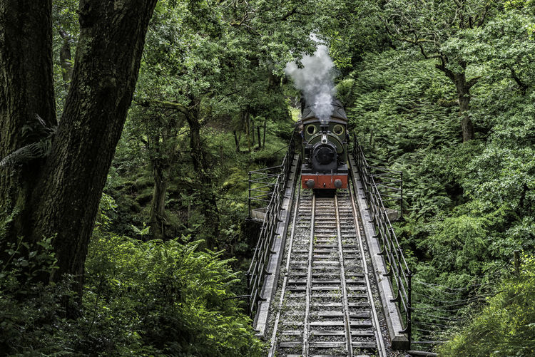 Steam train moving on railroad track amidst trees