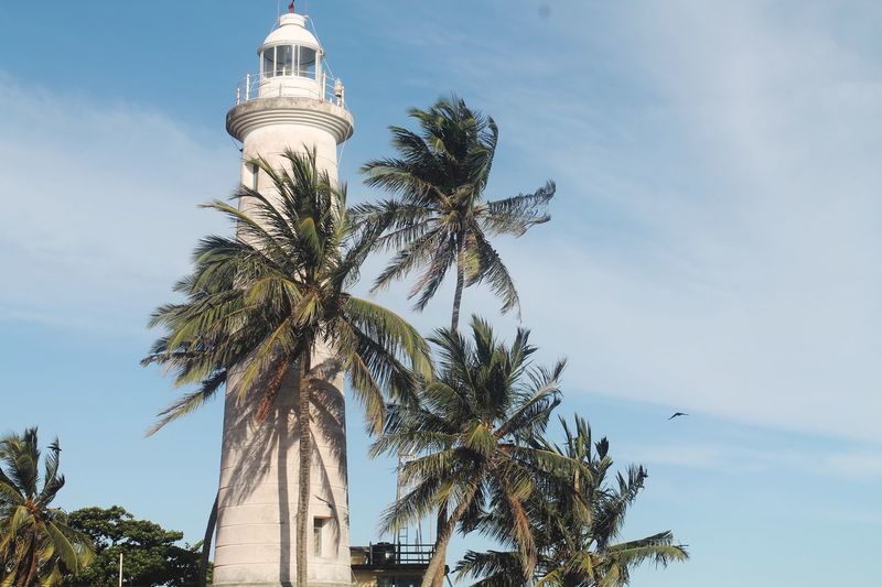 Low angle view of coconut palm tree and lighthouse against sky