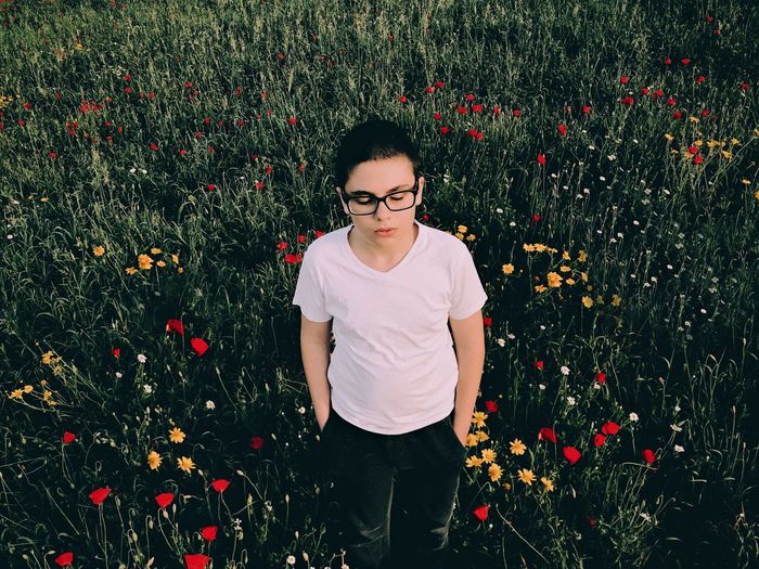 High angle view of boy standing amidst poppies blooming on field