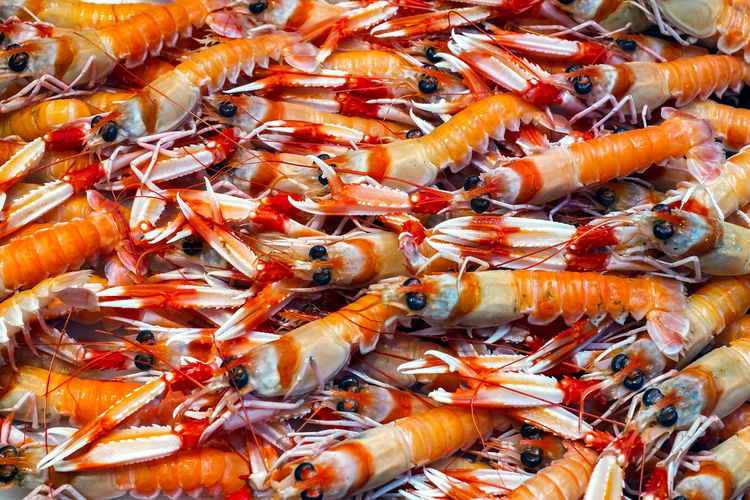 Fresh shrimps on ice at the market