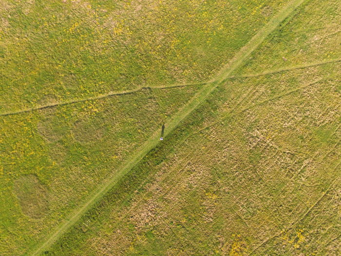High angle view of tire tracks on field