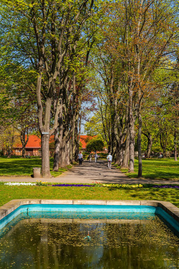 View of swimming pool in park