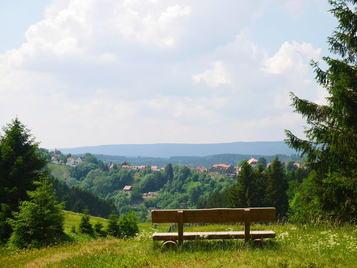 Park bench by trees against sky