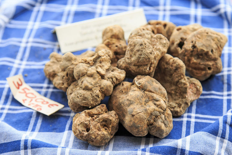 Close-up of white truffles on tablecloth