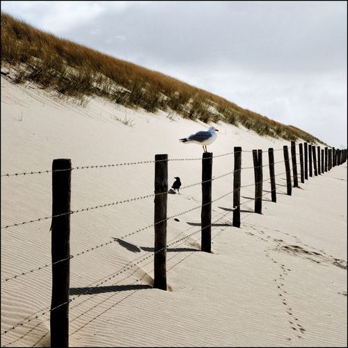 Lifeguard hut on beach against sky