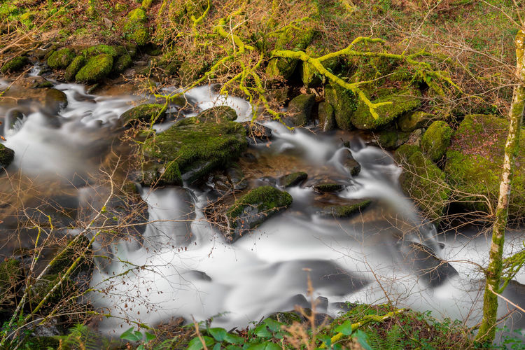 High angle view of the river flowing through the woods at watersmeet in devon