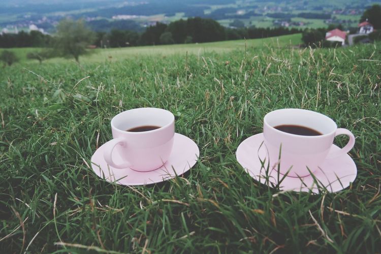Coffee cup on grassy field