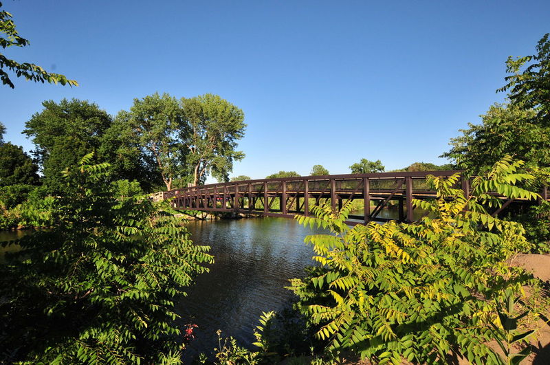 Bridge over plants against clear blue sky
