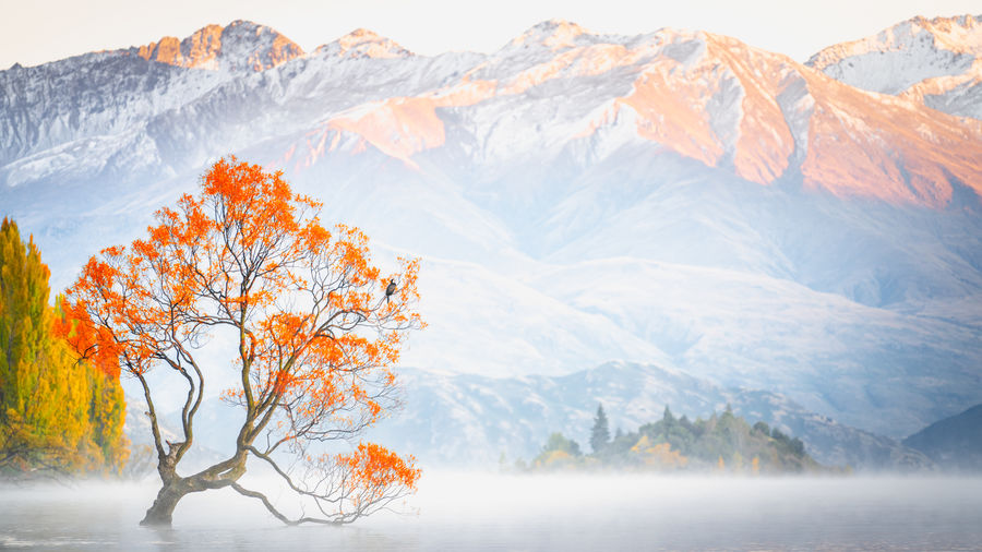 Scenic view of snowcapped mountains during winter