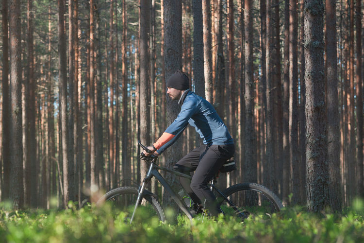 A young man rides leisurely on a bicycle in a pine forest. side view