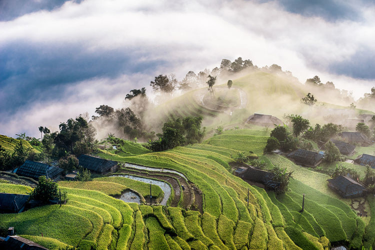 Scenic view of agricultural field against sky