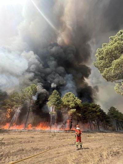 High angle view of wildfire 