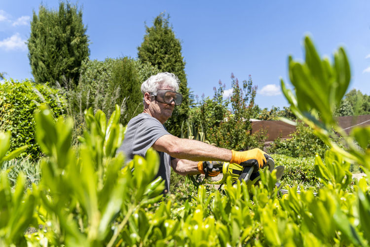 Senior man pruning hedge with trimmer