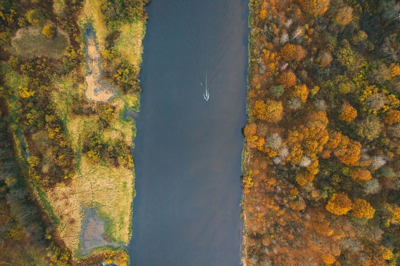 The motor boat sails along a narrow river. autumn forest on both sides. 