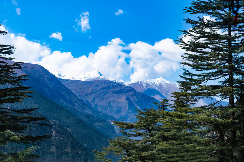 mountain