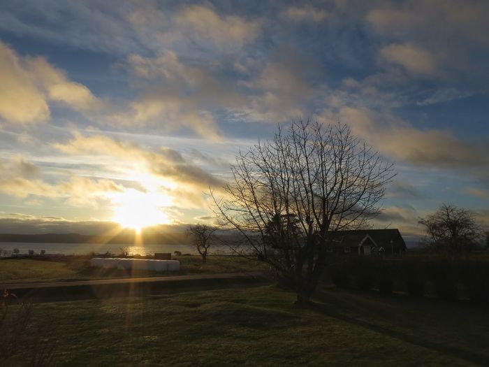 Bare tree against sky during sunset