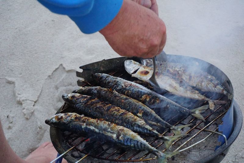 Close-up of fish on grill