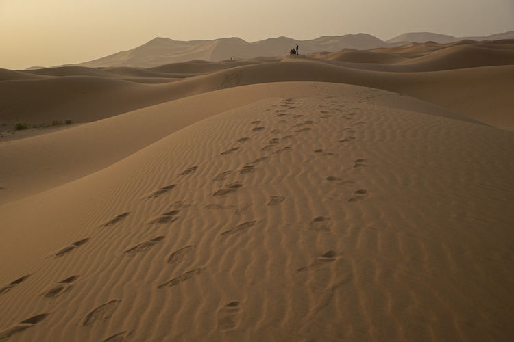 Scenic view of desert against sky