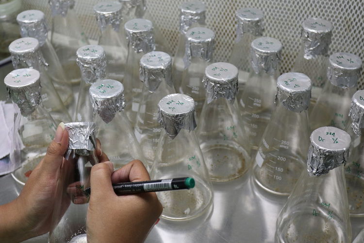 Cropped hands of scientist writing on conical flask in laboratory
