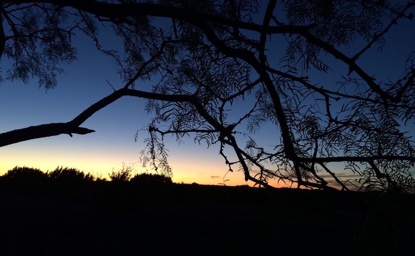 silhouette