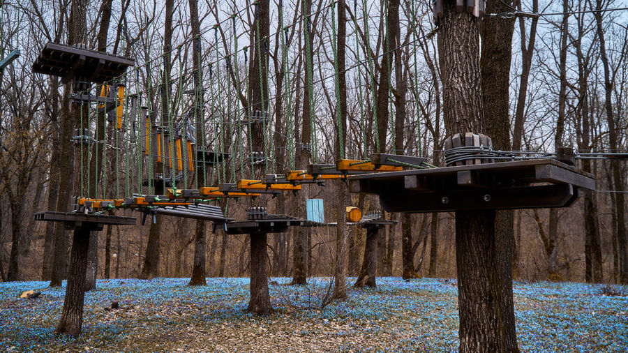 Empty bench in forest during spring with flower fields 