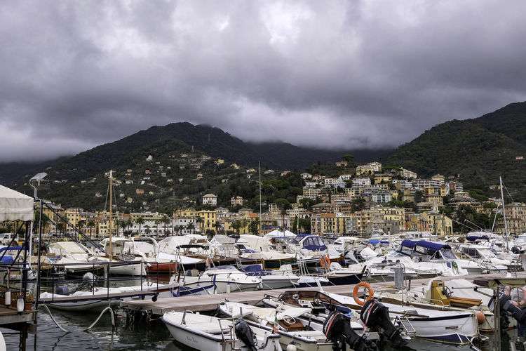 Yachts and recreational boats in the harbor with mountains on the background - rapallo, italy