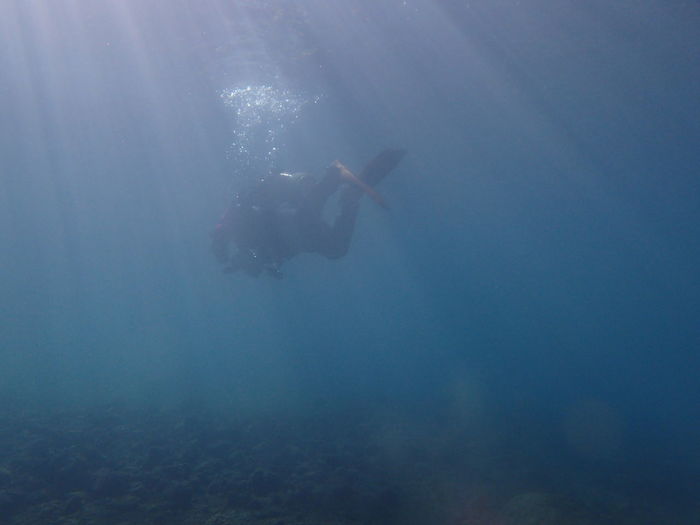 Scuba diving in sea