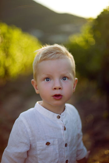 Blond boy child collects it in a basket grapes in a vineyard and eats it