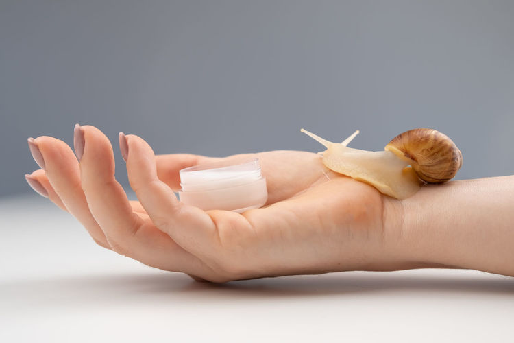 Cropped hand of woman with snail