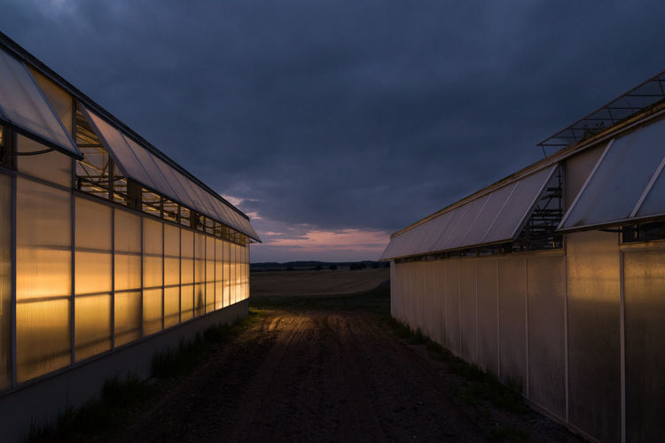 Illuminated greenhouses on field at night