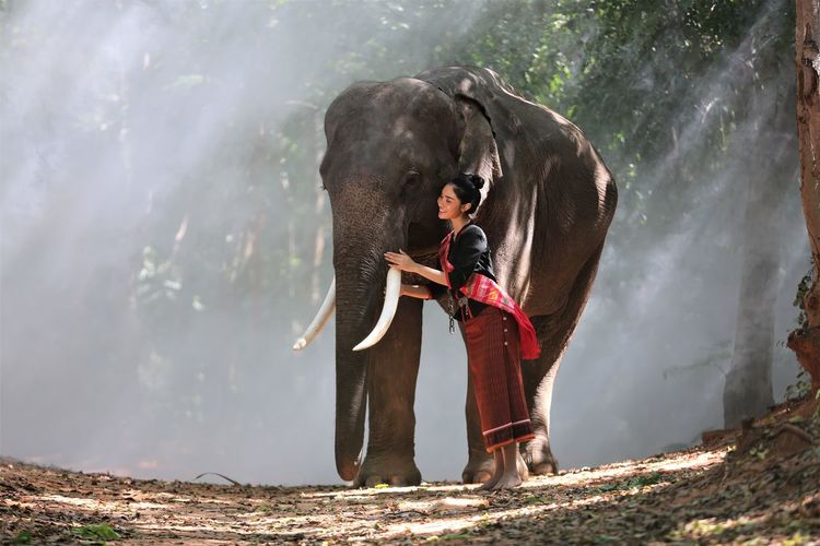 Woman with elephant standing on land in forest