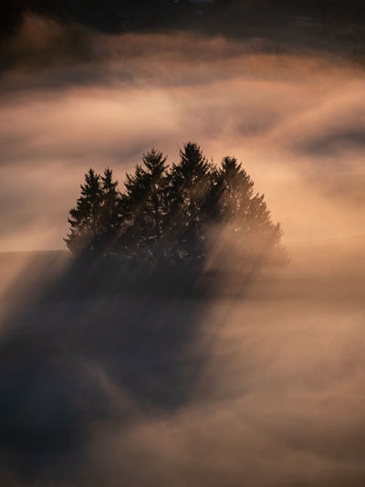 cloud