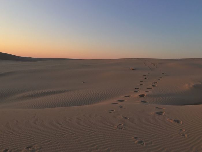Footprints on sand dunes against clear sky during sunset at port stephens