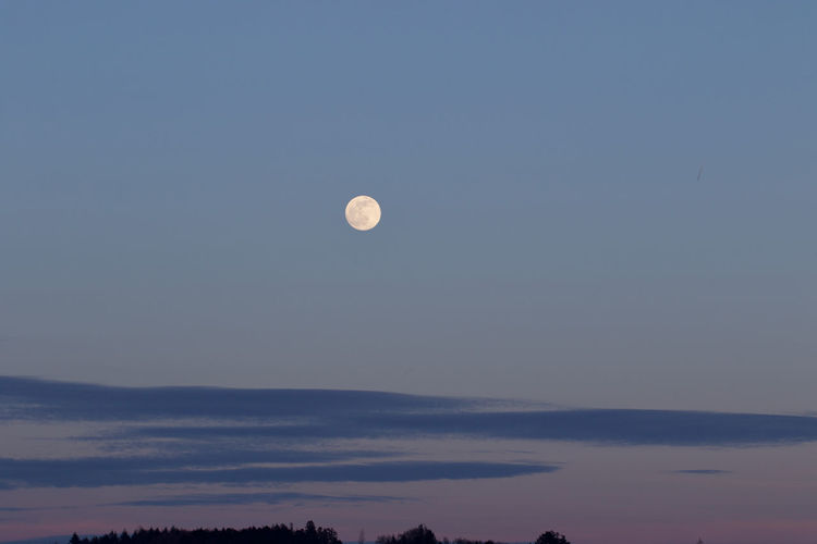 Low angle view of moon against sky at dusk