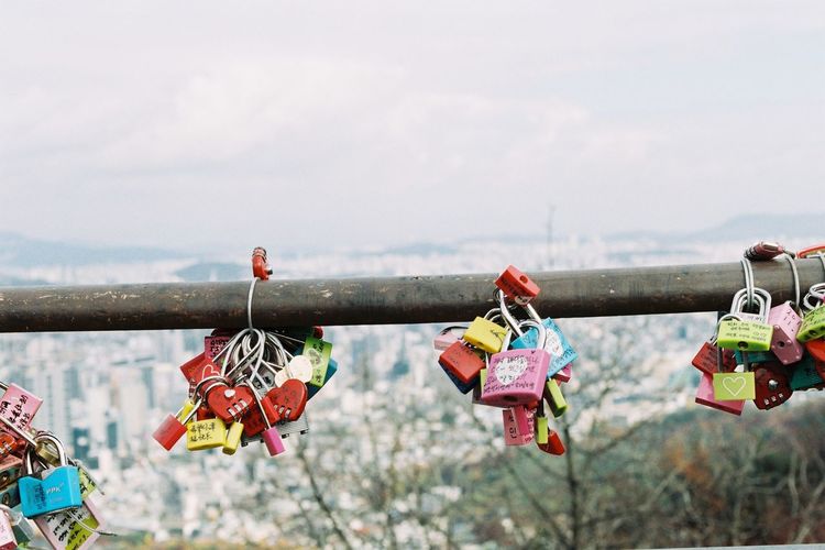 Close-up of clothes hanging on tree against sky