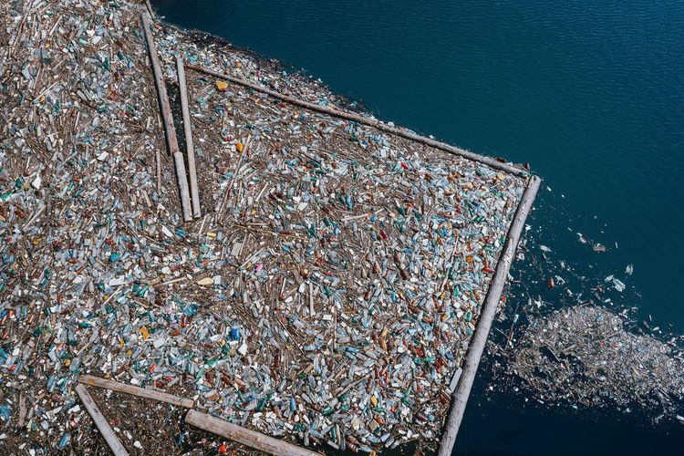 Plastic pollution on lake