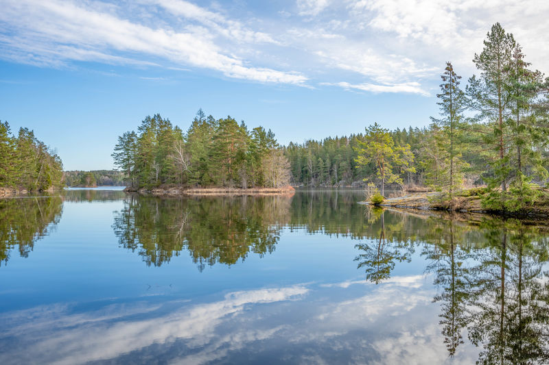 Scenic view of lake by trees against sky