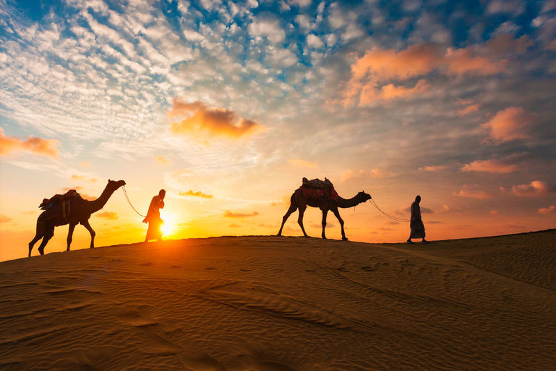 Silhouette people riding horse in desert against sky during sunset
