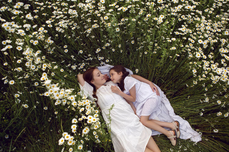 Mother with daughter in a white dress lie on a camomile field