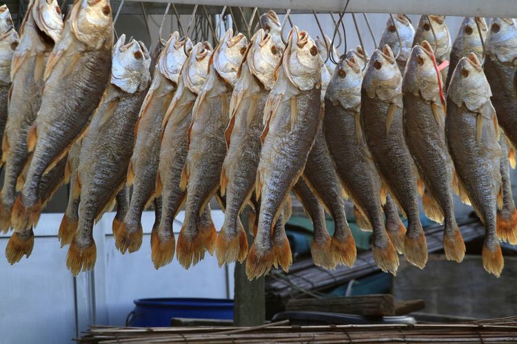 Fish hanging for sale at market