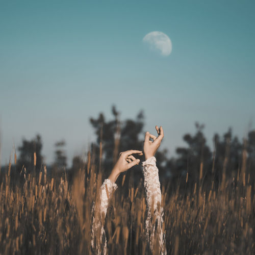 Cropped hands of woman raised amidst plants against sky
