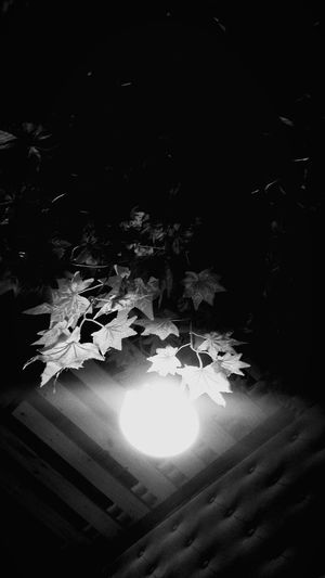 Close-up of illuminated lighting equipment on table